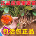 香农苗木