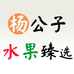 杨公子水果臻选