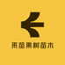 来苗果树苗木专营店