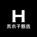 禾木子甄选