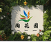 小陶花臻选