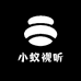 小蚁绍音科技