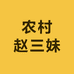农村赵三妹
