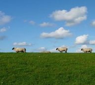 恩瑞蒂仁凯电子专卖店