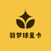 羽梦球星卡