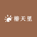 椿天里绿植盆景