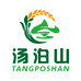 文登汤泊山地瓜面条