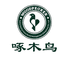 啄木鸟酥清时尚鞋