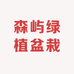 森屿绿植园艺（上海同城）