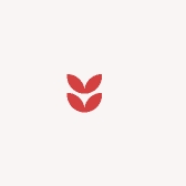 湖南白菜土特产