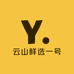 云山鲜选一号