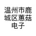 温州市