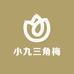 小九三角梅