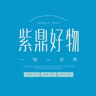 紫鼎甄选好物店