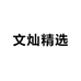 文灿精选