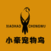 小豪手养宠物鸟