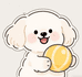 萌犬kpop小卡