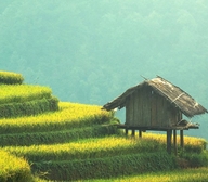 东林个体店