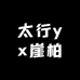 太行yx崖柏