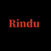 Rindu摩托车装备旗舰店