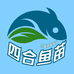 四合鱼苗