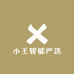小王智能严选