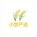 小梦严选精品店