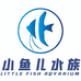 小鱼儿水族观赏鱼