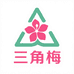 咏梅园艺三角梅