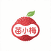 苗小梅冰杨梅