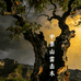 中条山的雷击木文化馆