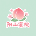 阳山桃花盛开水蜜桃