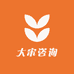 大宋咨询