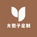 大微子定制