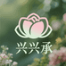 兴兴承年货仓