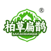 柏草扁鹊