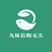 九妹信阳毛尖