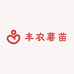 丰农薯苗