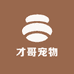 才哥宠物