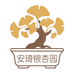 安琪银杏优选