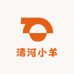 清河小羊
