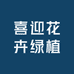 喜迎花卉绿植