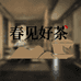春见好茶