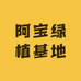 阿宝绿植基地