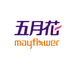 五月花婴童生活旗舰店