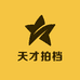天才拍档
