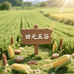 田元粗粮现磨坊