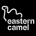 EASTERN CAMEL婉如女鞋店