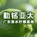 勤铭亚太柠檬基地