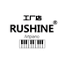 RUSHINE入石乐器工厂店